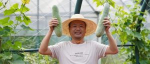 副业赚钱_共同富裕 杭州有力量 | 我们一起来“吃瓜”，一起呱呱呱~_副业教程-逸佳笔记-专注于副业赚钱教程