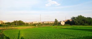 副业赚钱_公众号有哪些引流涨粉的方法？_副业教程-逸佳笔记-专注于副业赚钱教程