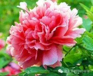 副业赚钱_怎样在QQ群精准引流_副业教程-逸佳笔记-专注于副业赚钱教程