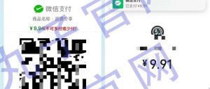 副业赚钱_新付费进群系统（支付配置）_副业教程-逸佳笔记-专注于副业赚钱教程