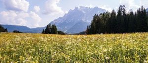 副业赚钱_提高利润的12个亚马逊运营小技巧_副业教程-逸佳笔记-专注于副业赚钱教程