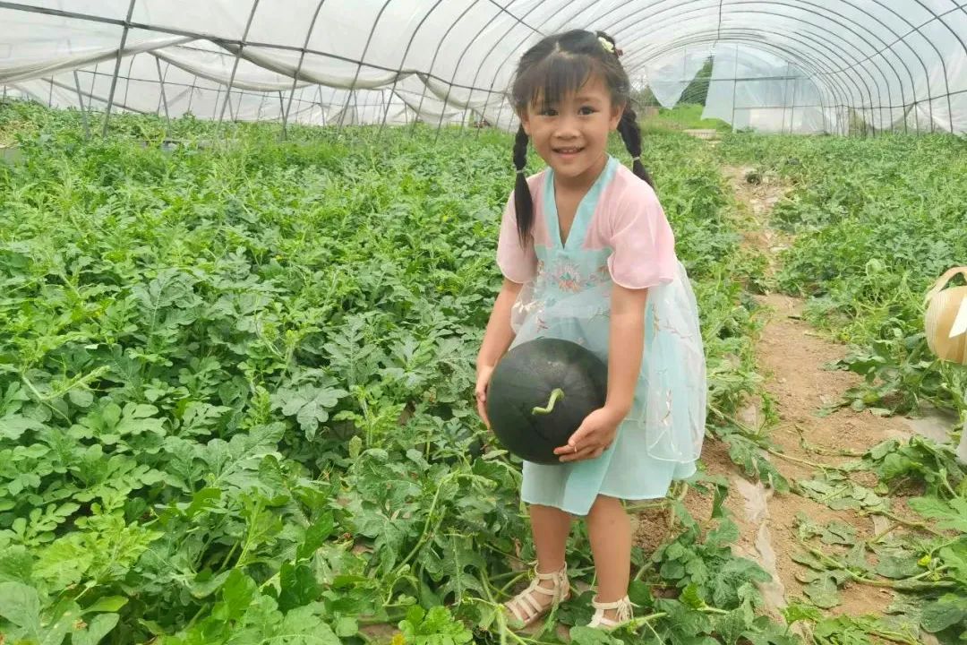 副业赚钱_江津“吃瓜群众”集合！量大管饱~_副业教程