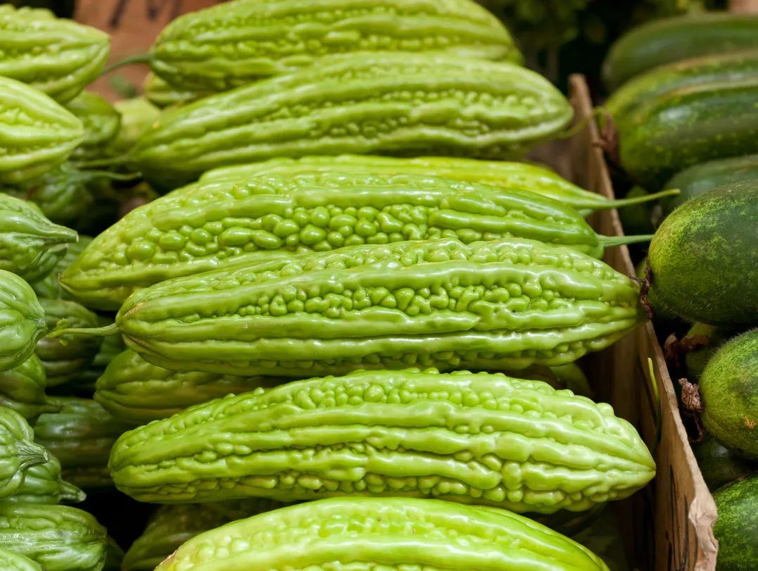 副业赚钱_春吃芽，夏吃瓜！这四个夏季第一瓜，你吃了吗？_副业教程