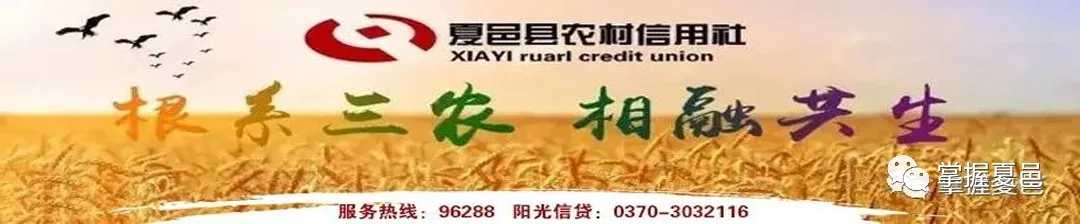 副业赚钱_再过十天,一场全国“土特产”的盛会将在夏邑举行!_副业教程 副业赚钱_再过十天,一场全国“土特产”的盛会将在夏邑举行!_副业教程