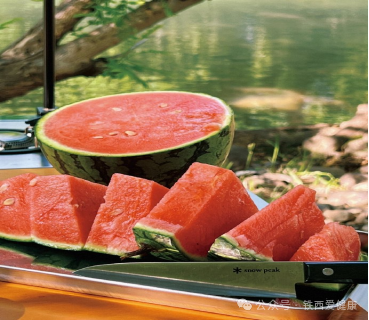 副业赚钱_健康吃瓜，安心吃瓜_副业教程