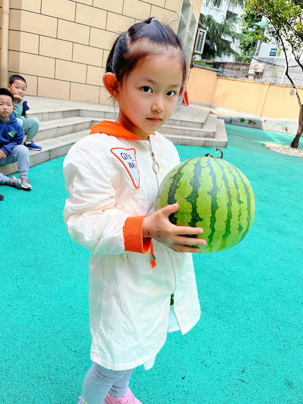 副业赚钱_【食育微项目】夏耘：夏日吃“瓜”乐_副业教程