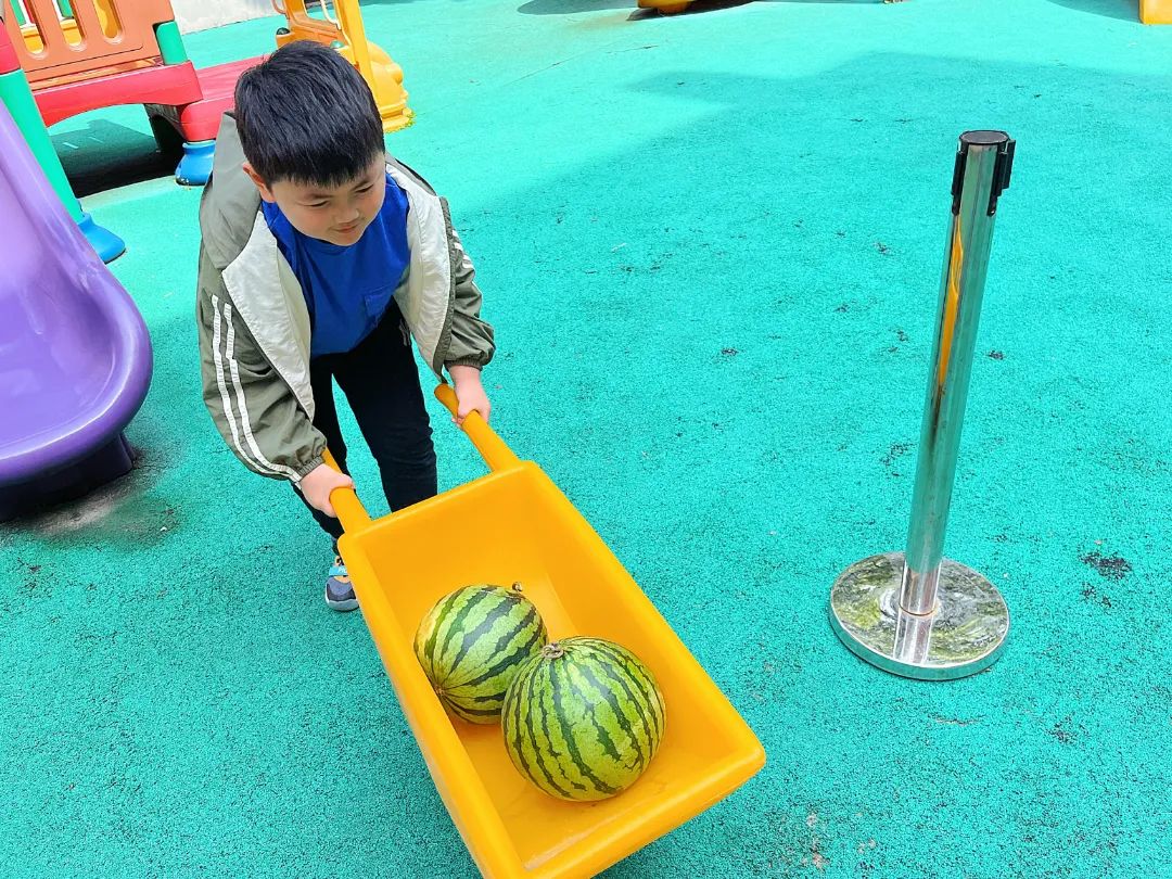 副业赚钱_【食育微项目】夏耘：夏日吃“瓜”乐_副业教程