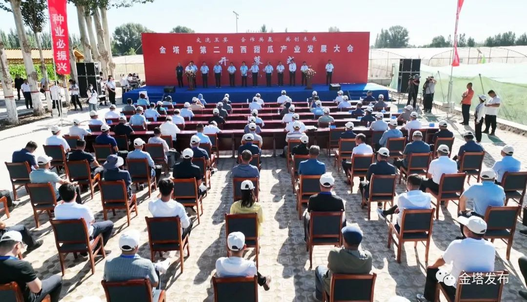 副业赚钱_以瓜为媒 共赴“甜蜜”之约——金塔县第二届西甜瓜产业发展大会侧记_副业教程