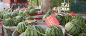 副业赚钱_想吃最地道的平湖西瓜？这份“吃瓜”攻略收好→_副业教程-逸佳笔记-专注于副业赚钱教程