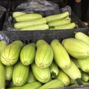 副业赚钱_滞销瓜地迎来“吃瓜好群众”，石桥镇30亩小瓜畅销_副业教程-逸佳笔记-专注于副业赚钱教程