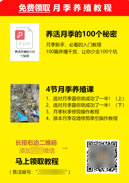 副业赚钱_实用的公众号引流方法，只要发布文章就有流量_副业教程