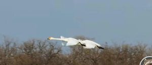 副业赚钱_如何给公众号引流_副业教程-逸佳笔记-专注于副业赚钱教程