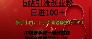 副业赚钱_日引创业粉 100+ b 站全套打法【实操教学】不容错过_副业教程-逸佳笔记-专注于副业赚钱教程