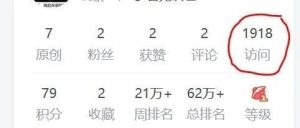 副业赚钱_全网最简单使用selenium + python创造csdn博文浏览量（不怕封id不考虑cookie）_副业教程-逸佳笔记-专注于副业赚钱教程