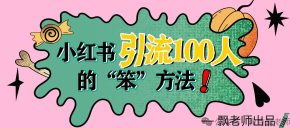 副业赚钱_飘老师：从小红书一天微信引流100人，居然只用了这么一招“傻方法”！_副业教程-逸佳笔记-专注于副业赚钱教程