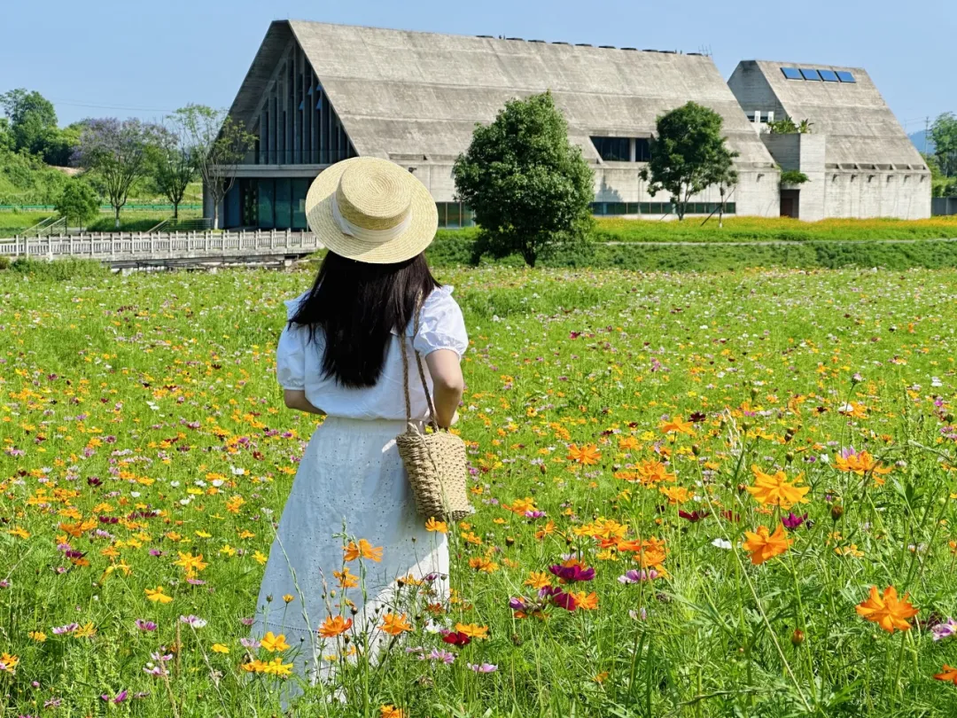 副业赚钱_江津“吃瓜群众”集合！量大管饱~_副业教程