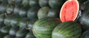 副业赚钱_“吃瓜季”来临，验瓜师成抢手资源_副业教程-逸佳笔记-专注于副业赚钱教程