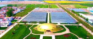 副业赚钱_再过十天，一场全国“土特产”的盛会将在夏邑举行！_副业教程-逸佳笔记-专注于副业赚钱教程