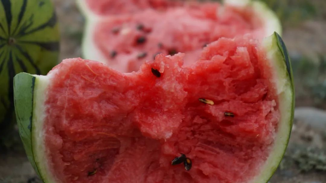 副业赚钱_糜滩镇独石村：西瓜“抢鲜”上市 开启夏日“吃瓜模式”_副业教程