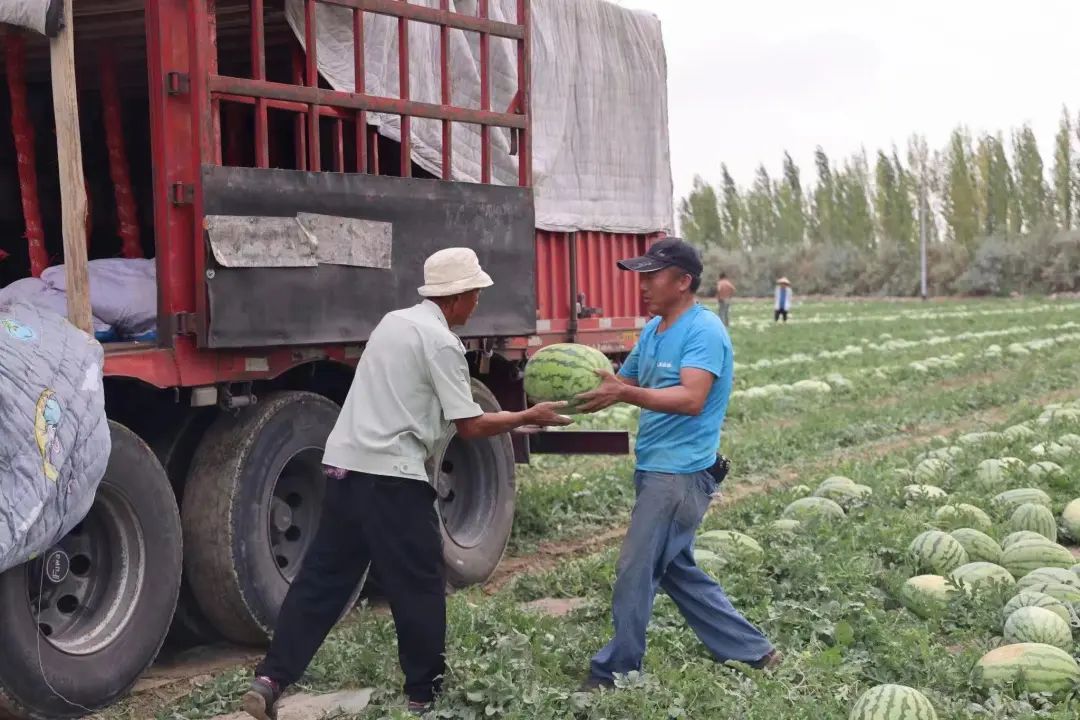 副业赚钱_来这里开启吃瓜模式_副业教程