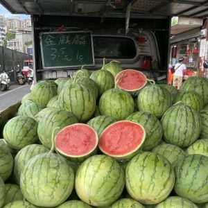 副业赚钱_梧州的“吃瓜群众”今年有口福了_副业教程-逸佳笔记-专注于副业赚钱教程