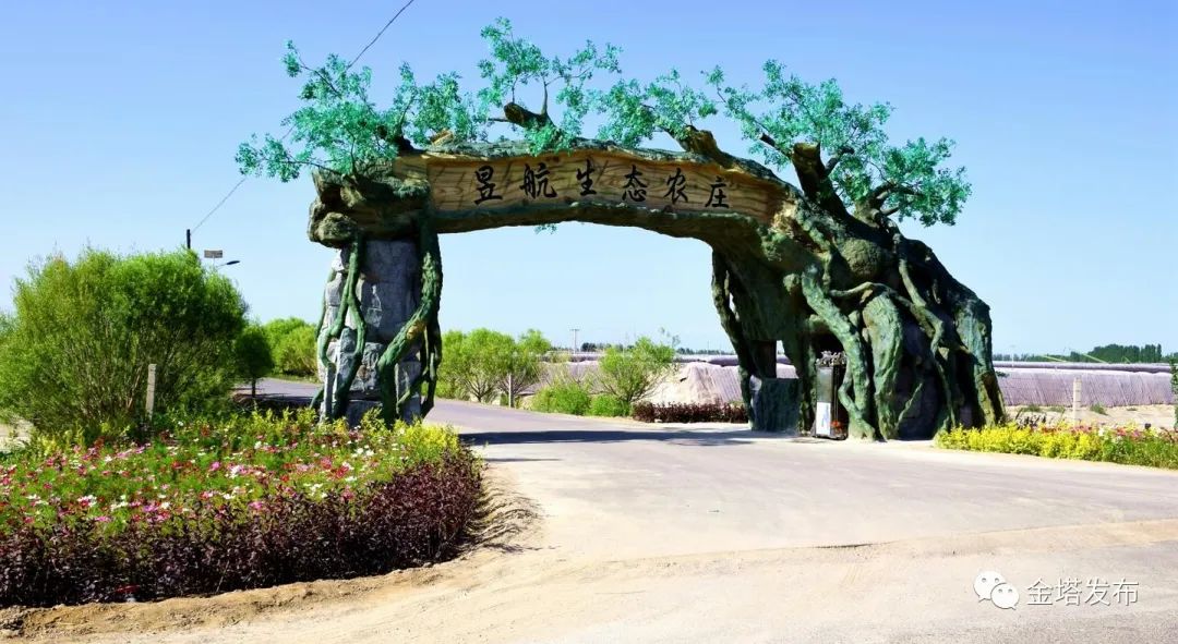 副业赚钱_以瓜为媒 共赴“甜蜜”之约——金塔县第二届西甜瓜产业发展大会侧记_副业教程