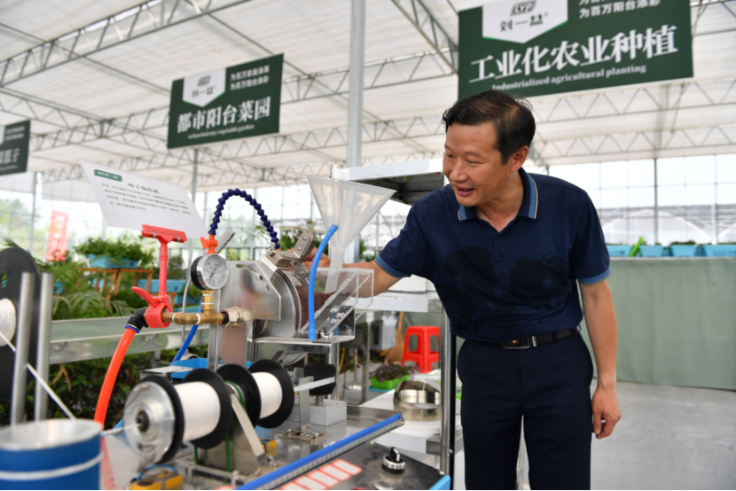 副业赚钱_阳阳喊你来吃瓜  三十岗西瓜全面上市！_副业教程