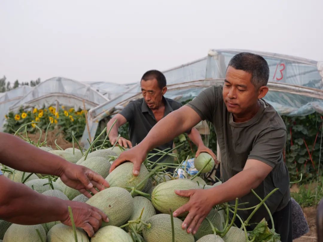 副业赚钱_走！吃瓜去→_副业教程