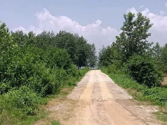 副业赚钱_【铜陵头条0613】2024年铜陵普高招生计划出炉！|最高35℃！注意防暑降温！|建议取消衡山大道停车位？回复来了！_副业教程