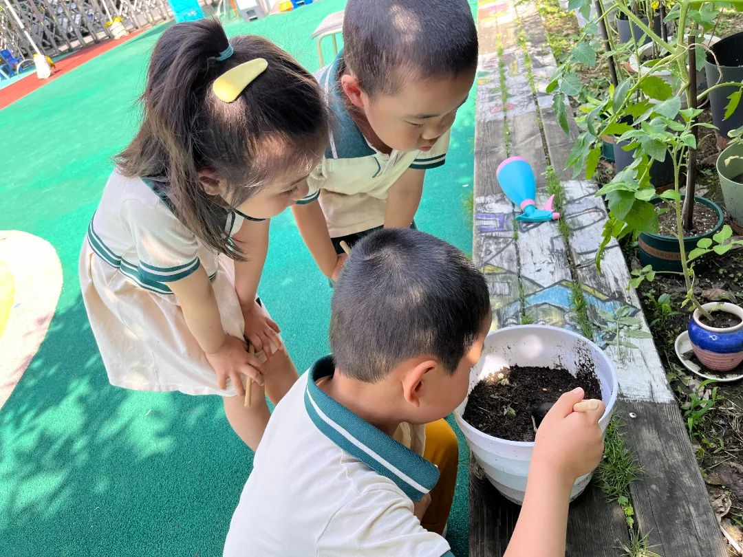 副业赚钱_【食育微项目】夏耘：夏日吃“瓜”乐_副业教程