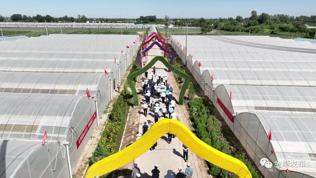 副业赚钱_以瓜为媒 共赴“甜蜜”之约——金塔县第二届西甜瓜产业发展大会侧记_副业教程