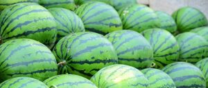 副业赚钱_来吃瓜！_副业教程-逸佳笔记-专注于副业赚钱教程