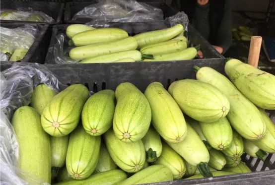 副业赚钱_滞销瓜地迎来“吃瓜好群众”，石桥镇30亩小瓜畅销_副业教程