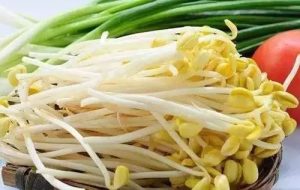 副业赚钱_春吃芽，夏吃瓜，秋吃果，冬吃根的奥秘_副业教程-逸佳笔记-专注于副业赚钱教程