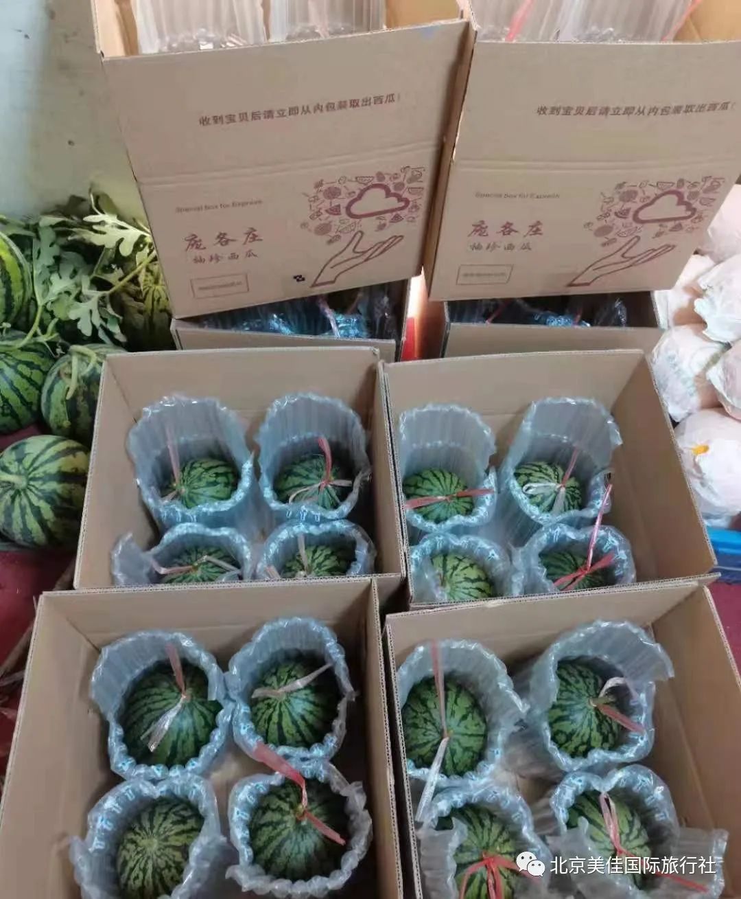 副业赚钱_吃瓜活动，美佳邀您参加~_副业教程