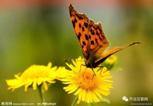 副业赚钱_QQ引流常见方法总结_副业教程-逸佳笔记-专注于副业赚钱教程