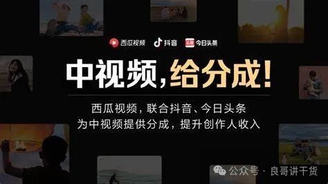 副业赚钱_中视频无脑搬运项目2.0，月入20000+_副业教程