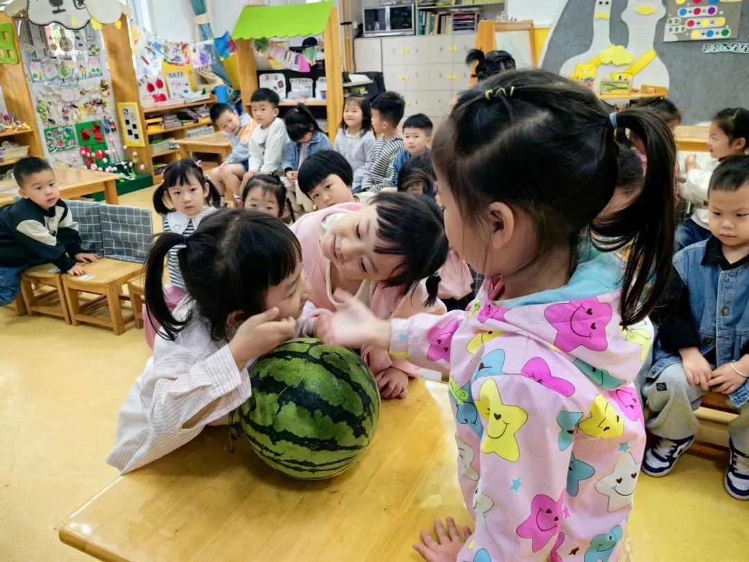 副业赚钱_【项目课程·滨江】一起吃瓜 | 小三班项目课程_副业教程 副业赚钱_【项目课程·滨江】一起吃瓜 | 小三班项目课程_副业教程