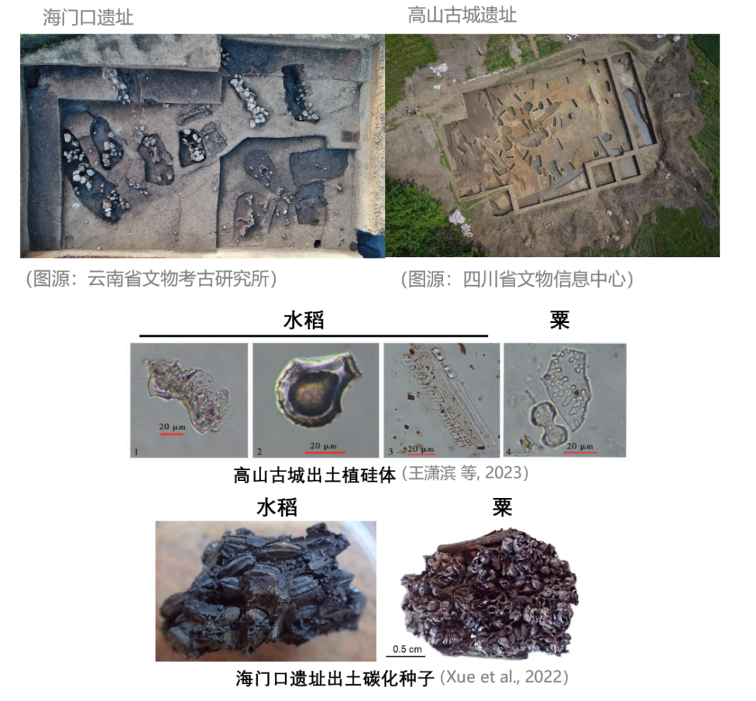 副业赚钱_吃瓜吃到自己的研究项目,内容还说错了!我火速写文反驳……_副业教程 副业赚钱_吃瓜吃到自己的研究项目,内容还说错了!我火速写文反驳……_副业教程