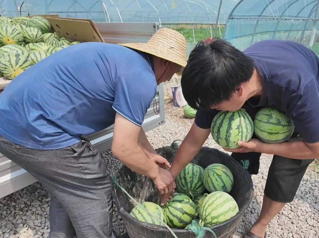 副业赚钱_甜蜜上市，枝江“吃瓜群众”集合！_副业教程