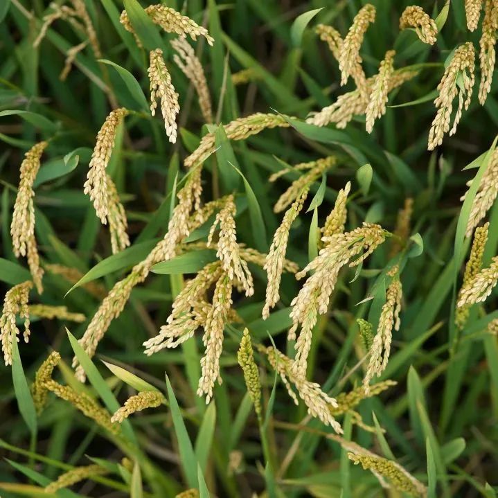 副业赚钱_“吃瓜”有秘籍！_副业教程