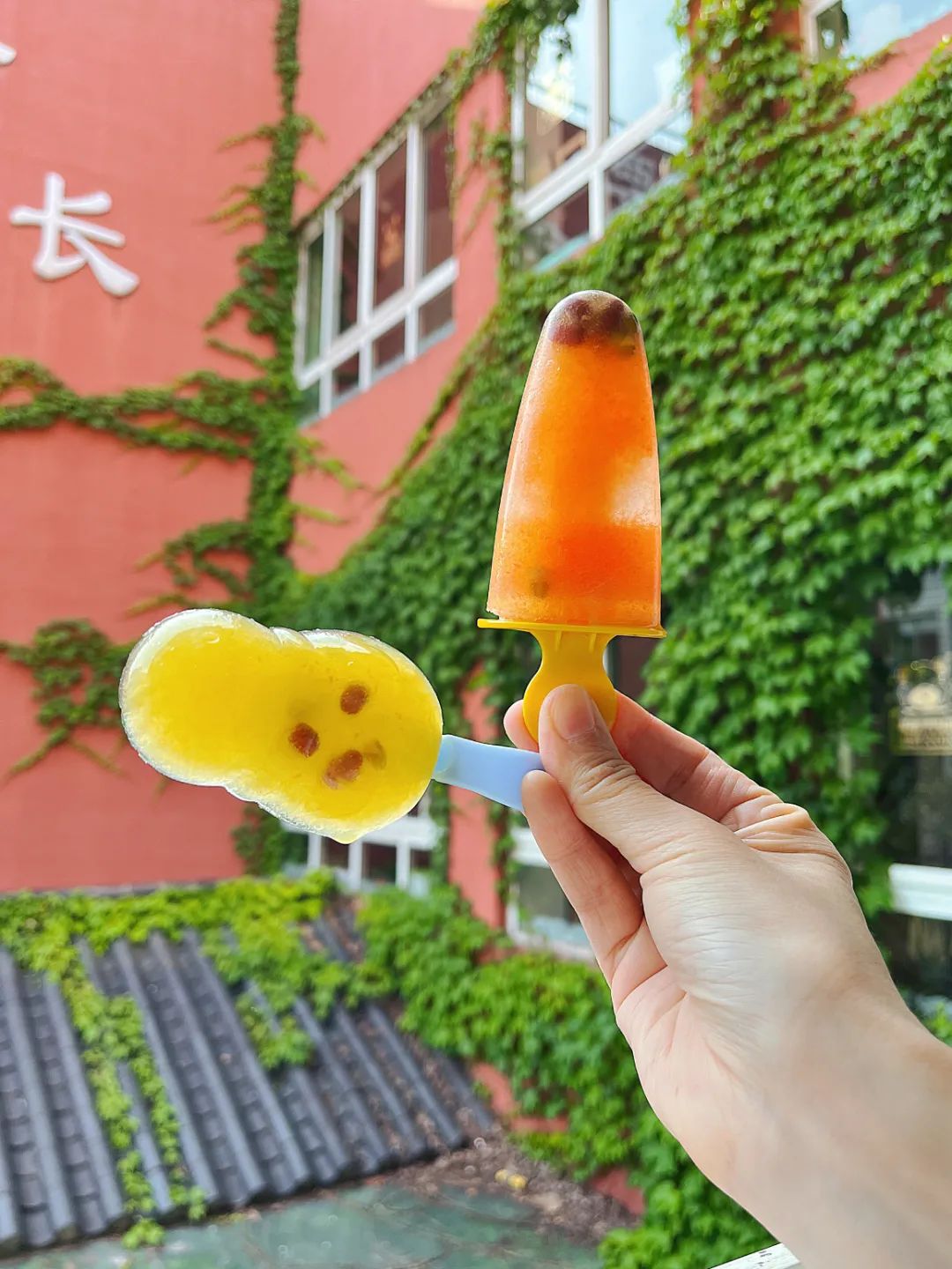 副业赚钱_【食育微项目】夏耘：夏日吃“瓜”乐_副业教程