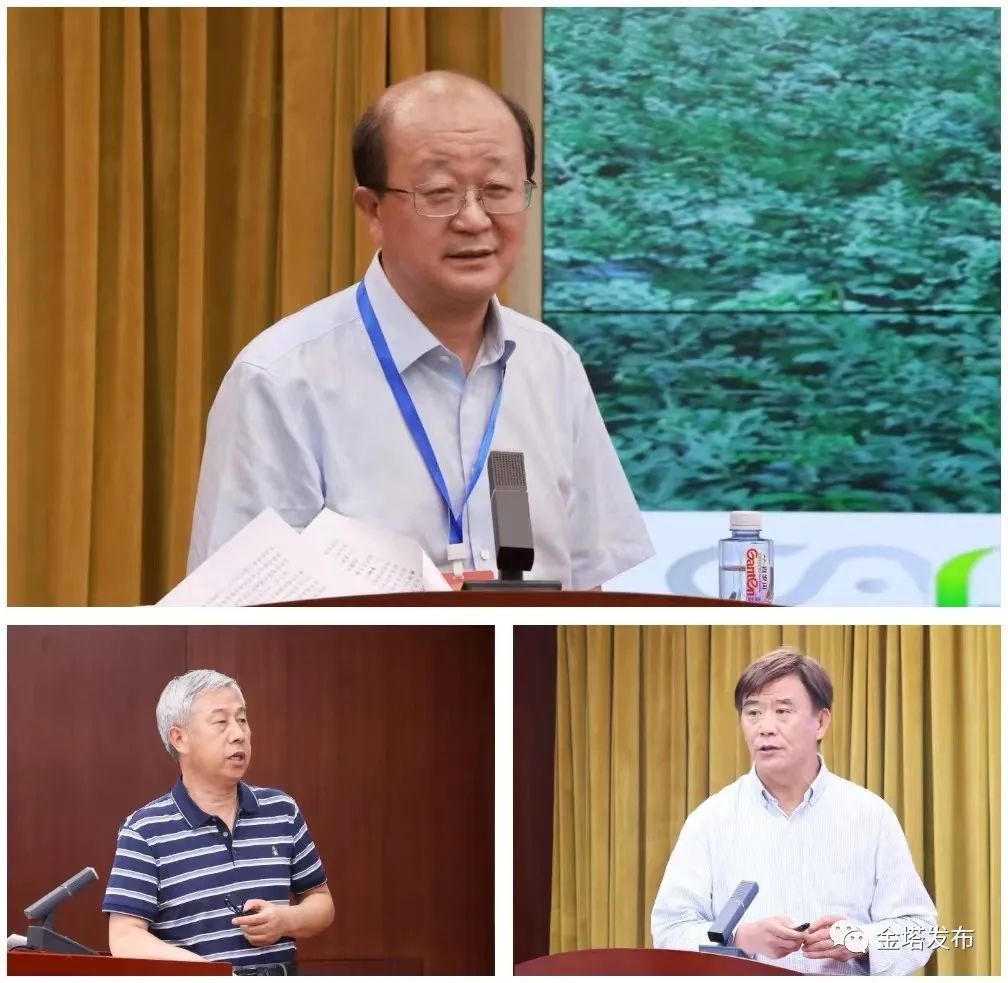 副业赚钱_以瓜为媒 共赴“甜蜜”之约——金塔县第二届西甜瓜产业发展大会侧记_副业教程