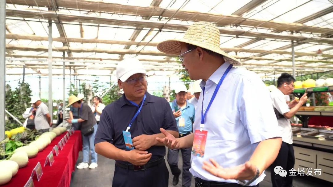 副业赚钱_以瓜为媒 共赴“甜蜜”之约——金塔县第二届西甜瓜产业发展大会侧记_副业教程