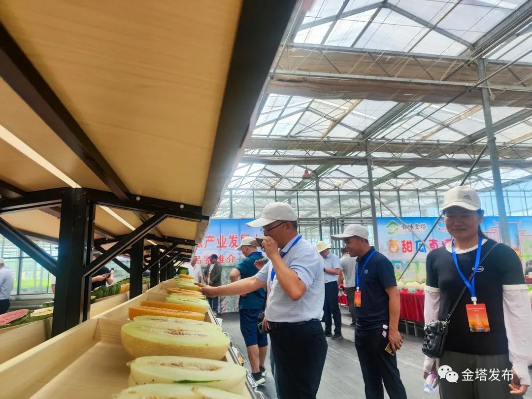 副业赚钱_以瓜为媒 共赴“甜蜜”之约——金塔县第二届西甜瓜产业发展大会侧记_副业教程