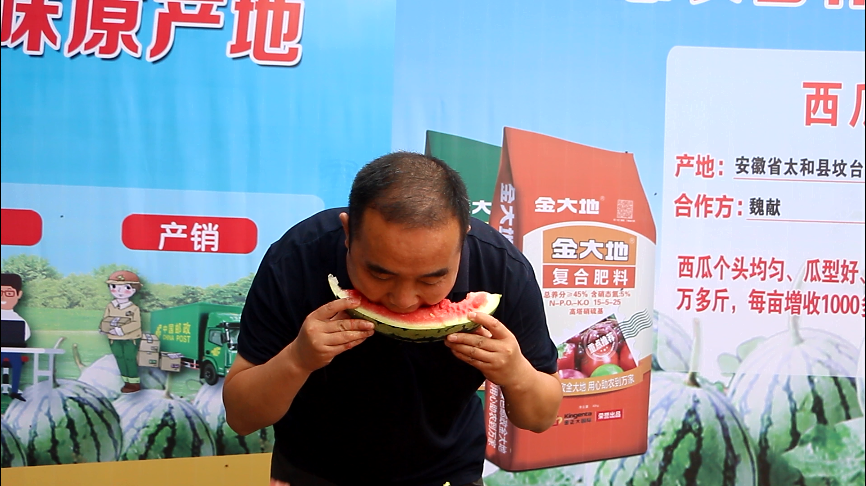 副业赚钱_惠农合作：一场吃瓜群众的“较量”，是太和“惠农样板”的嘉奖！_副业教程