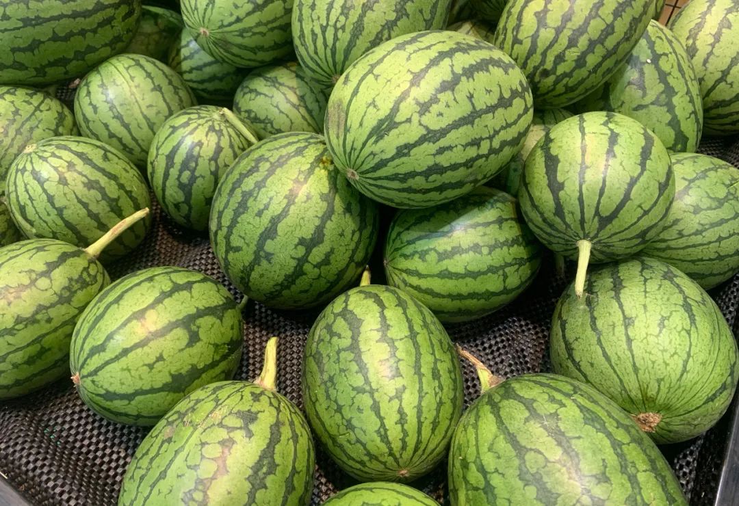 副业赚钱_夏季吃瓜季，6种最适合夏天吃的瓜，快收藏起来_副业教程