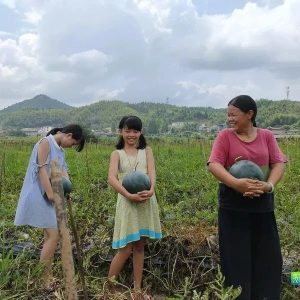 副业赚钱_美翻天!7月26日晚,“吃瓜群众”嗨起来!_副业教程-逸佳笔记-专注于副业赚钱教程