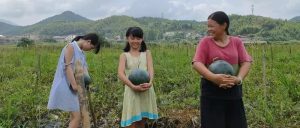 副业赚钱_美翻天! 7月26日晚,“吃瓜群众”嗨起来!_副业教程-逸佳笔记-专注于副业赚钱教程