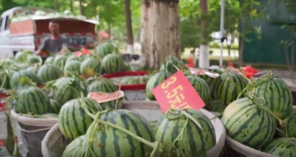 副业赚钱_想吃最地道的平湖西瓜?这份“吃瓜”攻略收好→_副业教程 副业赚钱_想吃最地道的平湖西瓜?这份“吃瓜”攻略收好→_副业教程